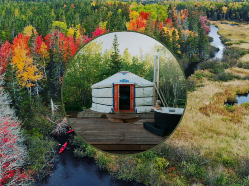 Nature's Magic: Witchy Woman Wellness Weekend