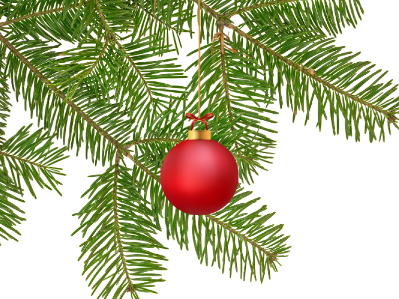 Spring Park Holiday Market