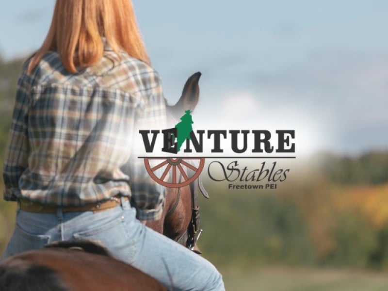 Adult Fun Night - December 5