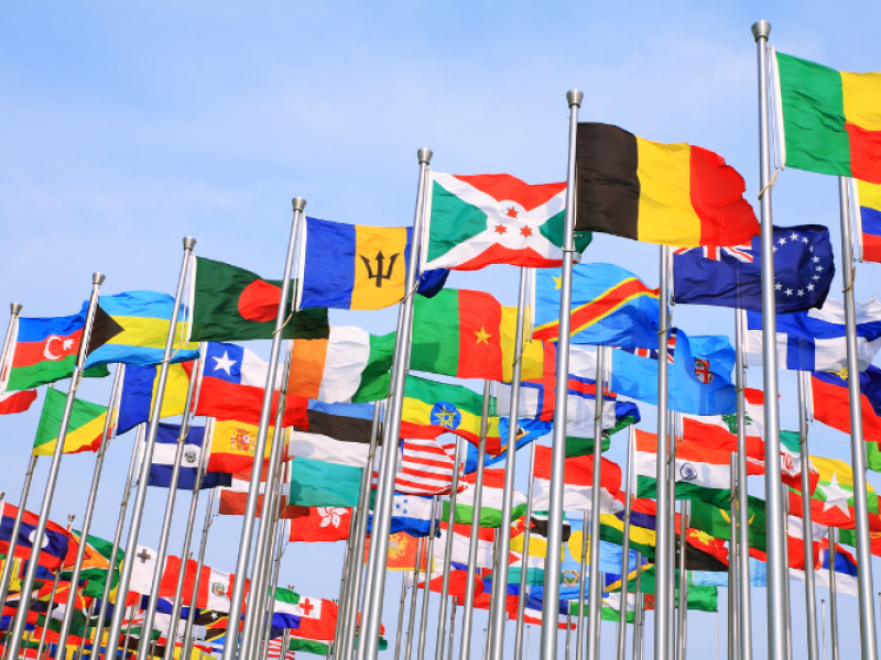 A Taste of Global Flavours