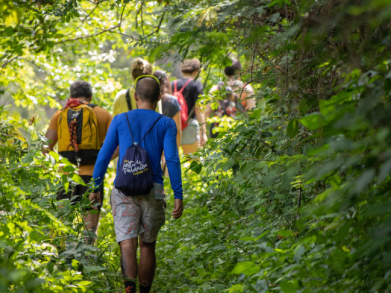 Tree Talk and Walk