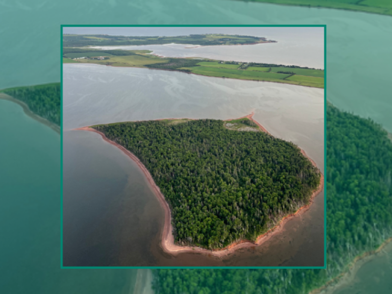 Holman Island Guided Walking Tours - July