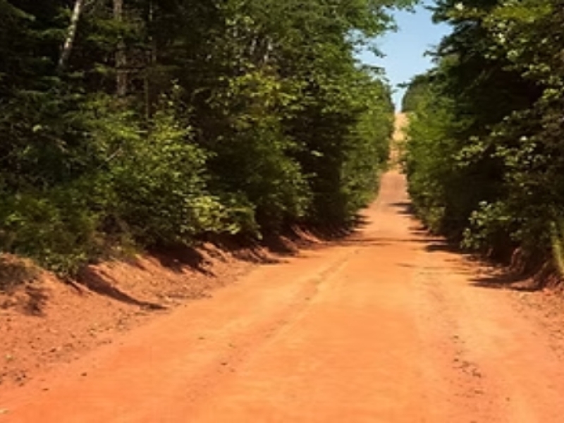 Kids on the Road to Fortune