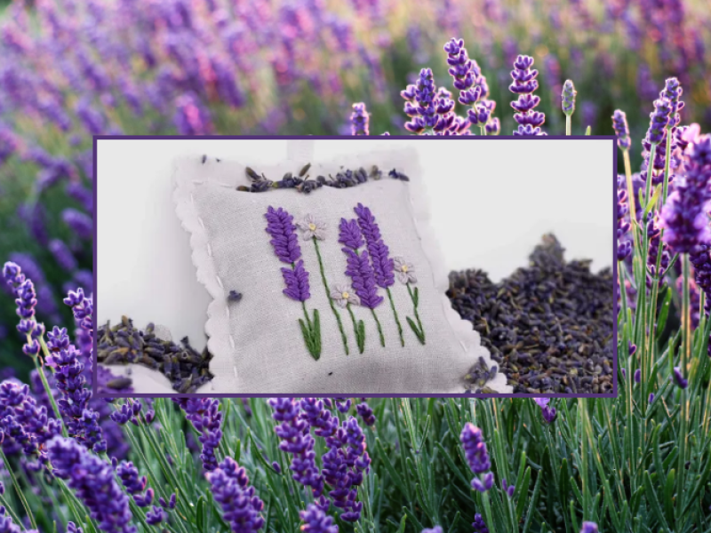 Beginner Embroidery Workshop