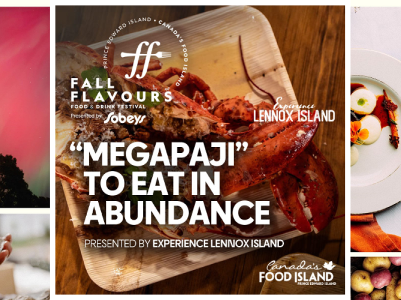 “Megapaji” To Eat In Abundance