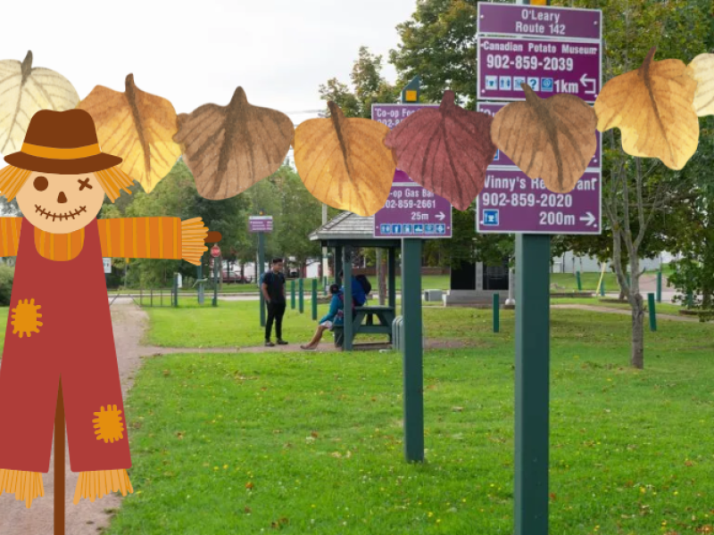 O’Leary’s Fall Festival
