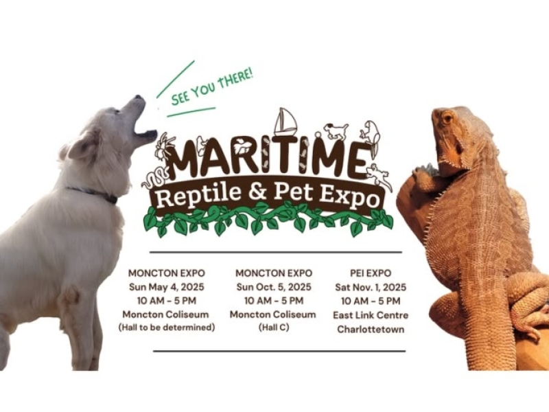 Maritime Reptile & Pet Expo Maritime Reptile & Pet Expo