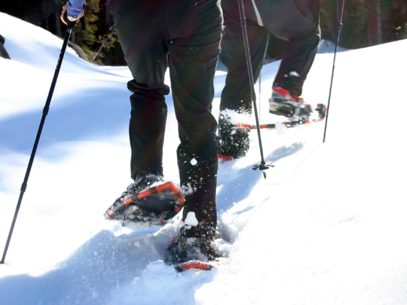 Snowshoe Walk with Kate MacQuarrie