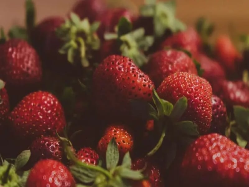 Canoe Cove Strawberry Social
