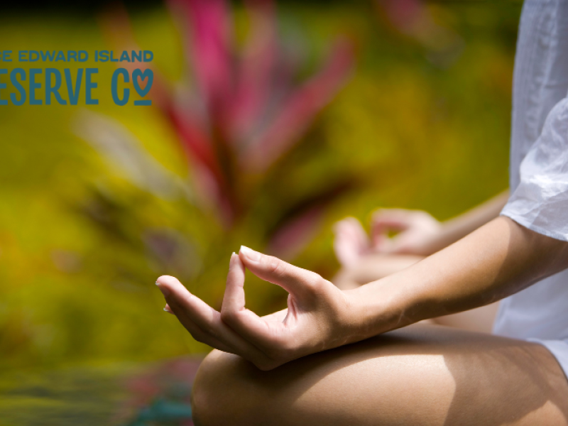 Yoga Nidra in Nature - July 6