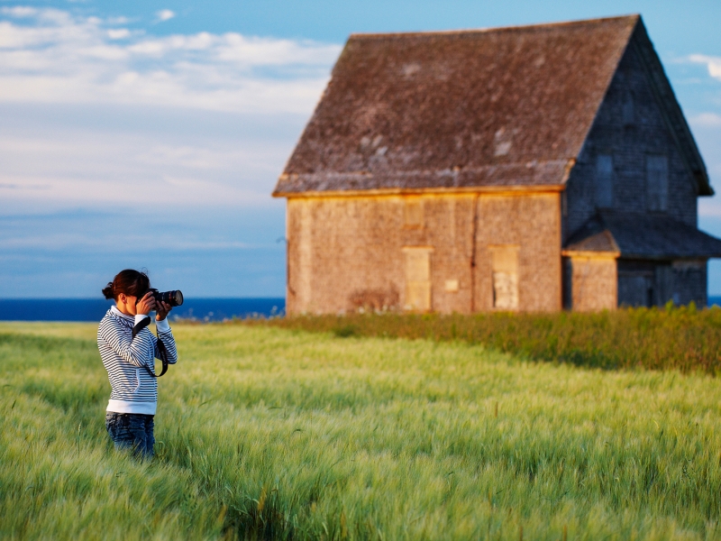 Field, shed, photography 