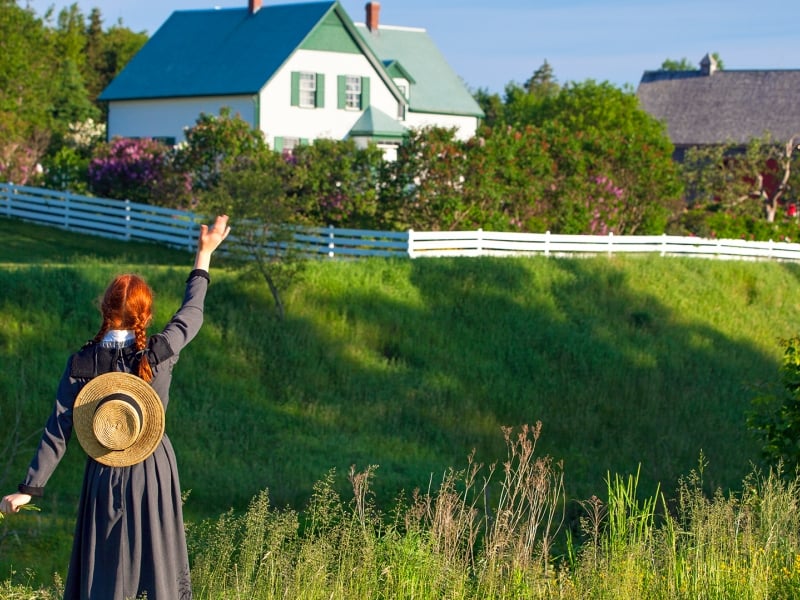 Anne of Green Gables, waving, field