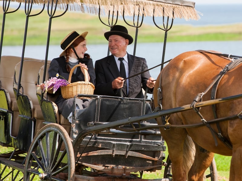 Anne of Green Gables, horse carriage, smiling  
