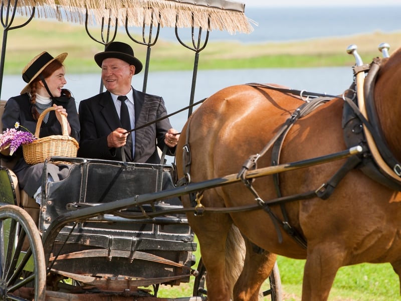 Anne of Green Gables, horse carriage, smiling  