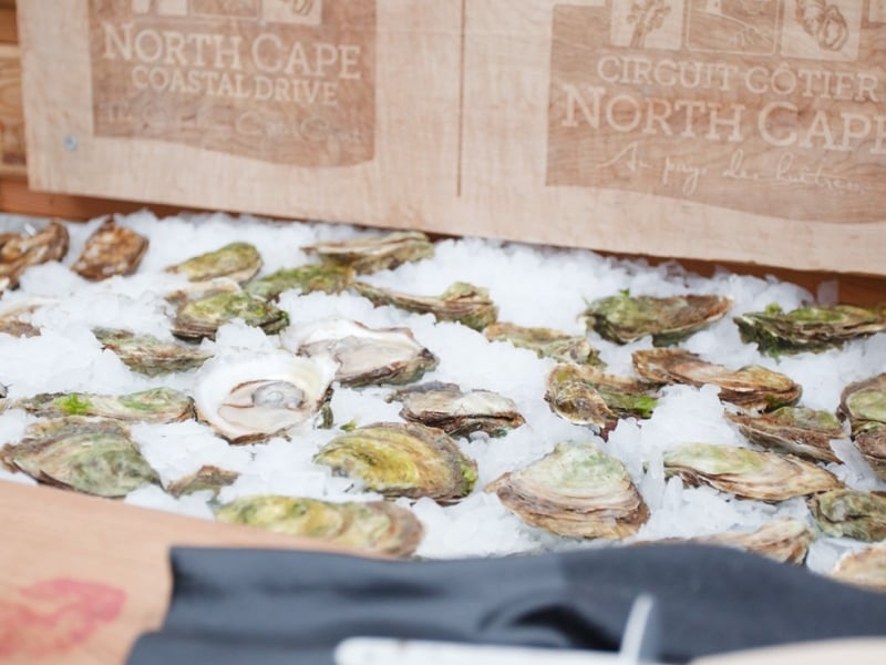 Oysters on the half shell on ice with North Cape Coastal Drive sign in background