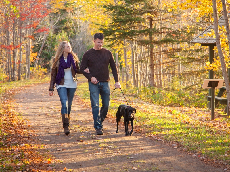 Fall Confederation Trail, couple walking dog