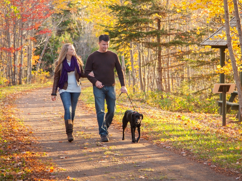 Fall Confederation Trail, couple walking dog Fall Confederation Trail, couple walking dog
