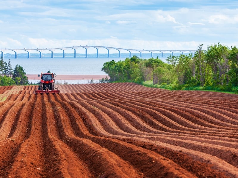 North Carleton, field, tractor, bridge 