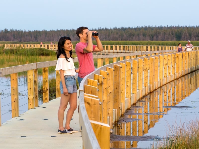 Greenwich, PEI National Park, boardwalk, couples, binoculars, water Greenwich, PEI National Park, boardwalk, couples, binoculars, water