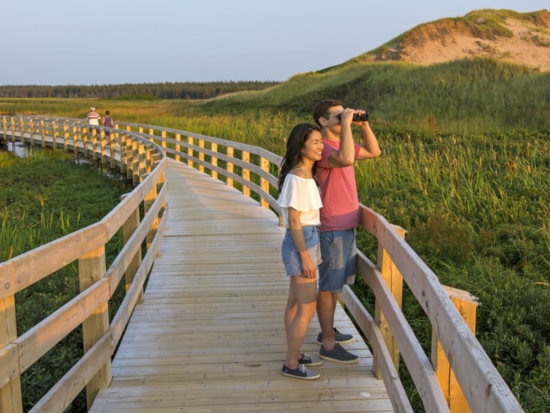 Greenwich PEI-National-Park, Couple, binoculars Greenwich PEI-National-Park, Couple, binoculars