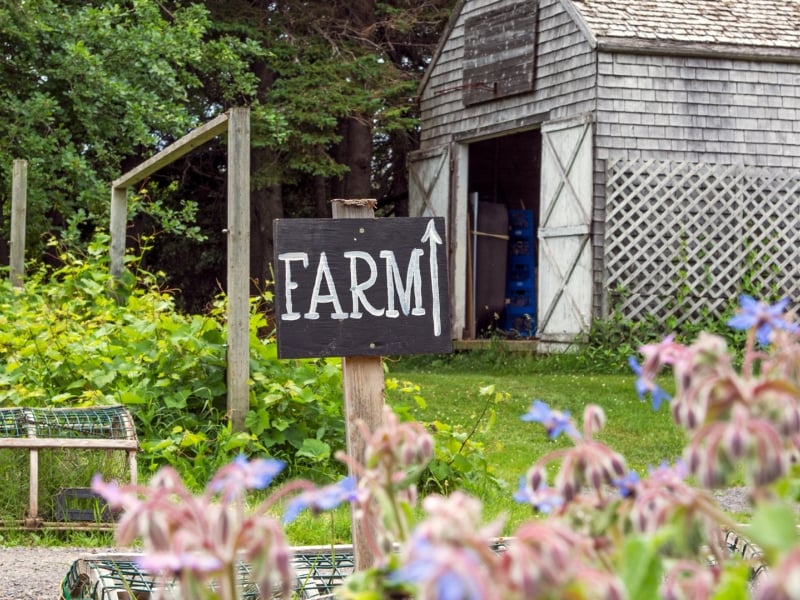 Inn at Bay Fortune, farm, sign