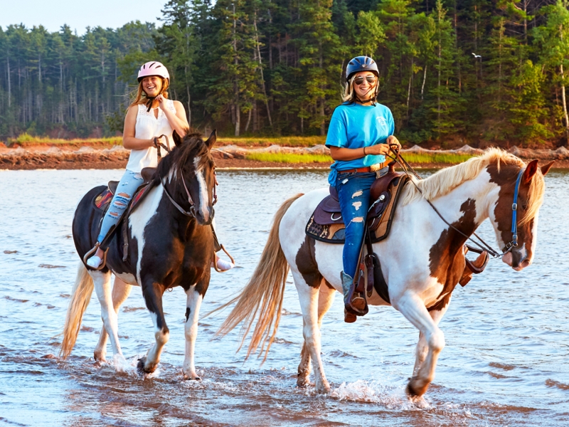 Brudenell Trail Rides, two horses