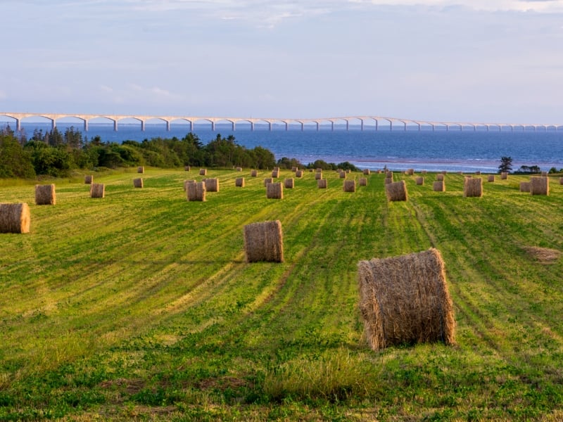 Confederation Bridge, field, hay, hay bales, sky