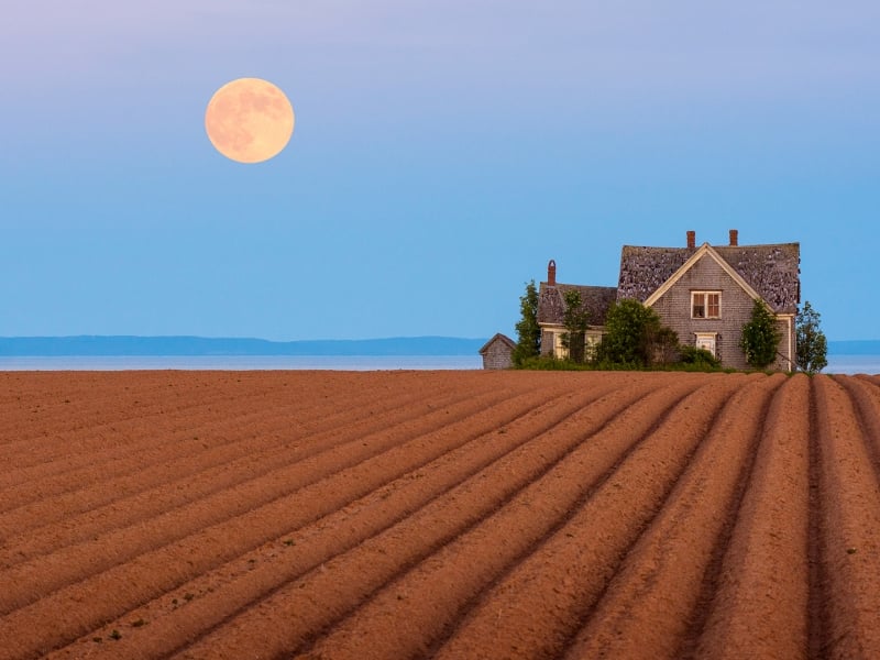 Guernsey Cove, Moon, house, fields, night