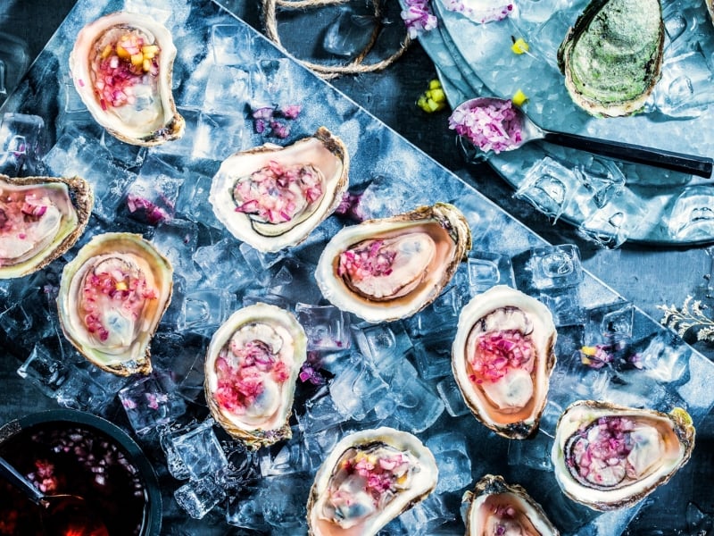 Oysters, plating, flat lay