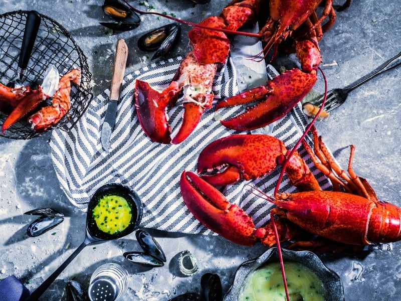 Lobsters cooked, flat-lay