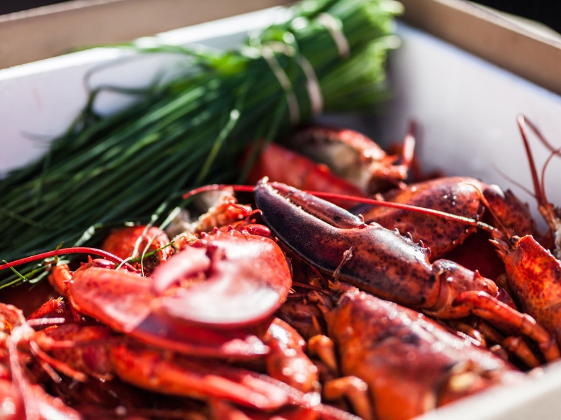 Lobsters cooked, close up