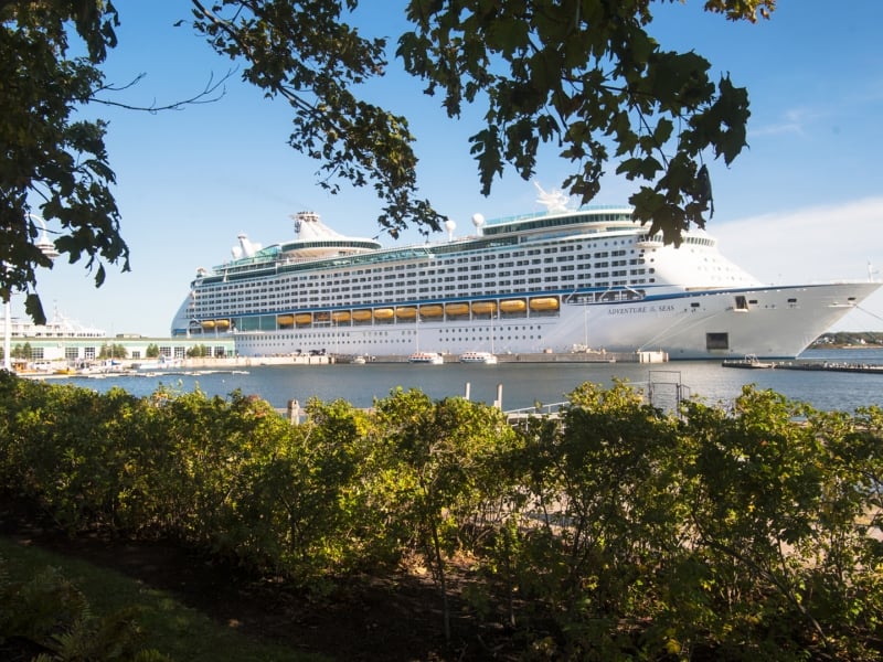 Cruise Ship, Charlottetow, ship, tree