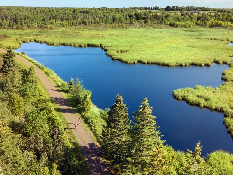 Confederation Trail, Hermitage, lake, trees, road