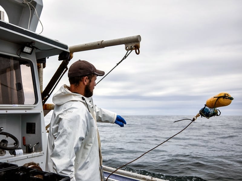 Lobster fisher throwing buoys into water from fishing boat