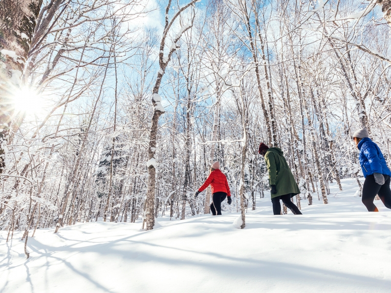 Strathgartney, Snowshoeing, winter, forest Strathgartney, Snowshoeing, winter, forest
