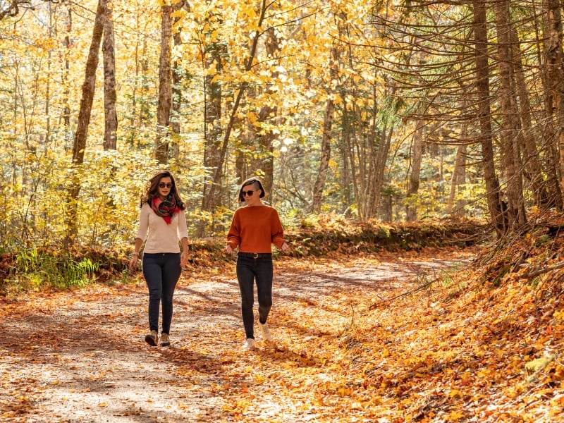 Scenic heritage road, PEI Two women walking scenic heritage road in fall, PEI