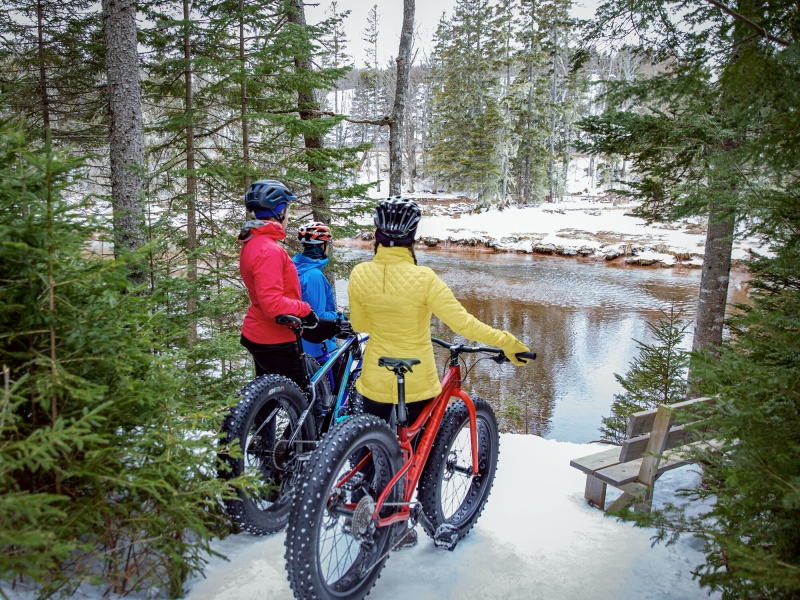Three persons look at Bonshaw River while fat biking in winter