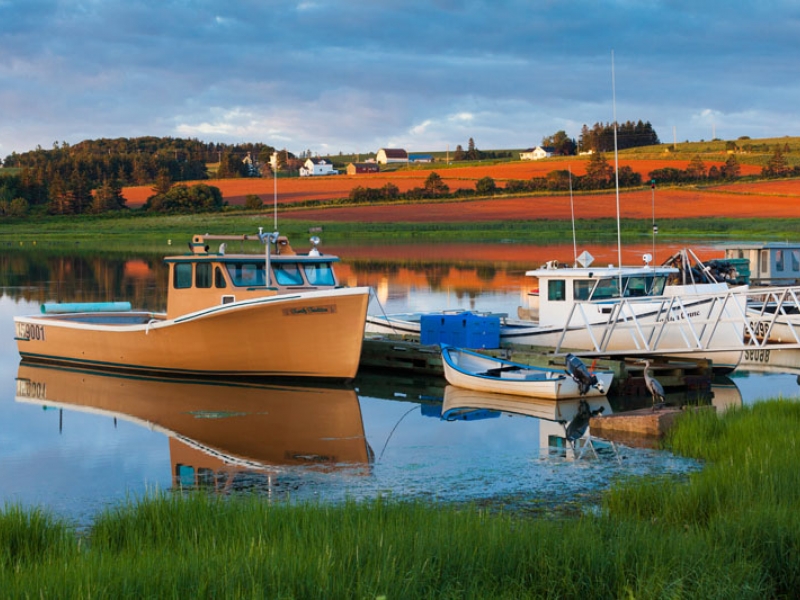 Boats in harbour