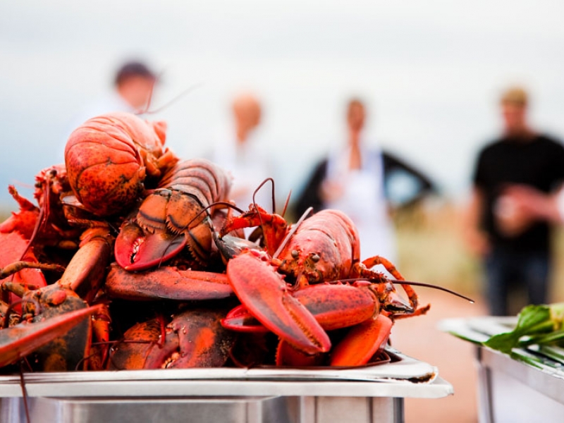 Cooked lobsters