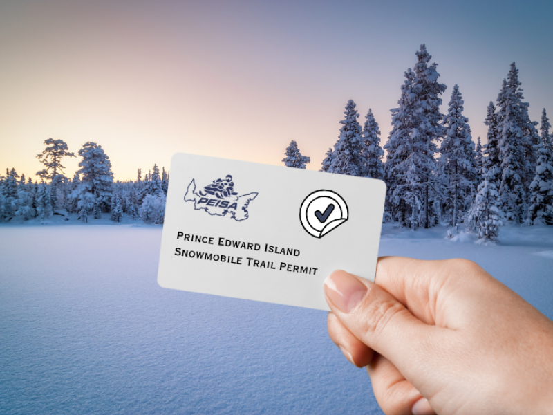 Image of hand holding a permit card with winter scene in background