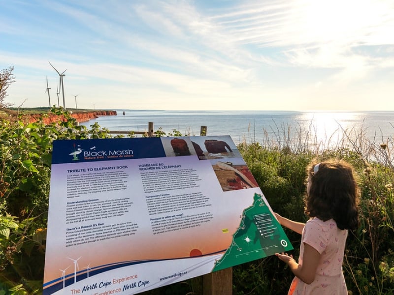 Young girl looks at interpretive panel along Black Marsh Nature Trail, North Cape