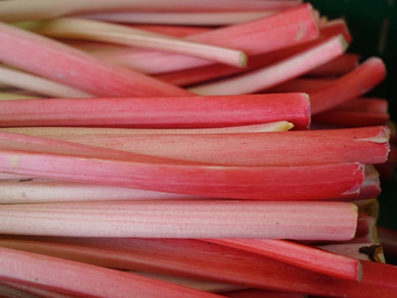 Rhubarb, rhubarb stocks