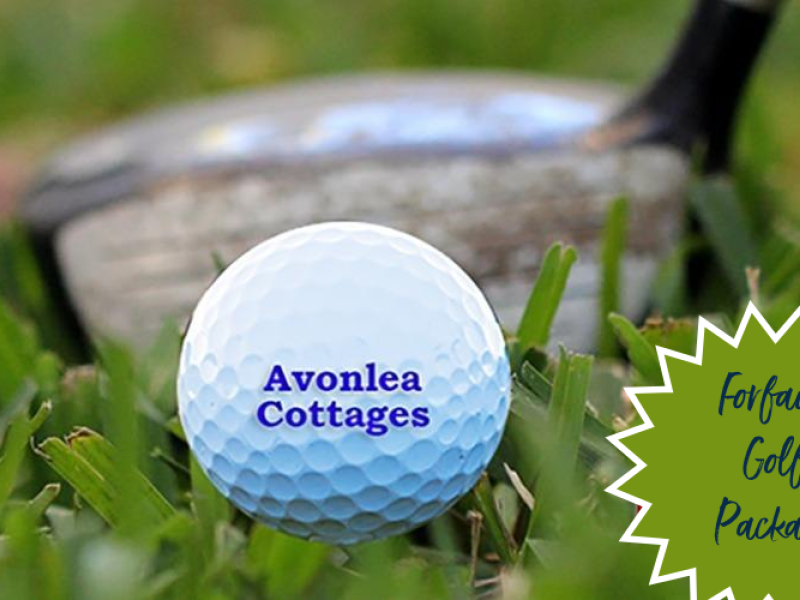 Avonlea Golf Package, golf ball with logo