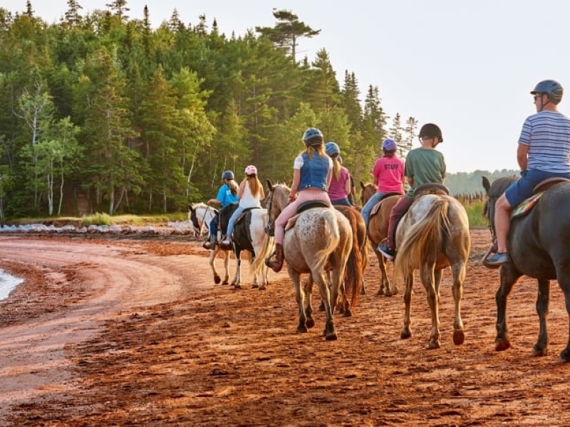 Brudenell Riding Stables, horses riding along Brudenell River