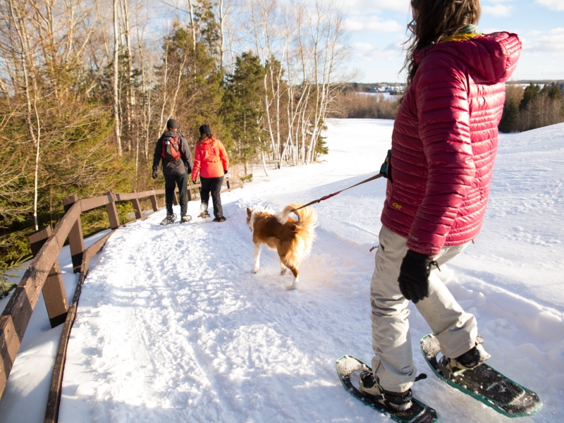 Couple and person with dog snowshoe on groomed trail at Brundenell