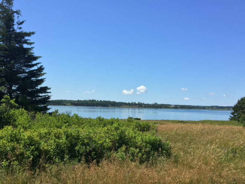 Waterview from Confederation Trail