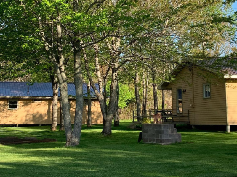 Two cottages nestled in treed setting