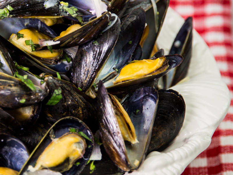 Plated steamed PEI Mussels on checkered tablecloth