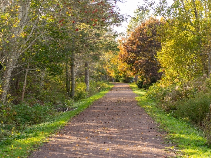 Confederation Trail in fall
