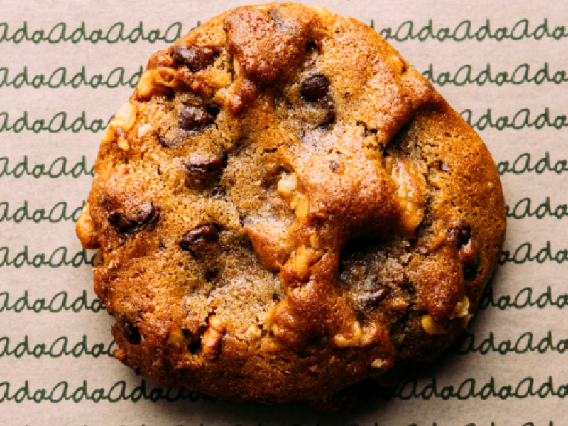 Dark chocolate and walnut cookie sits on Ada background